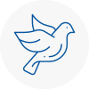 Bird Prevention Ryton