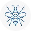 Ryton Hornet Nest Removals