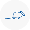 Mice Exterminators In Ryton
