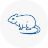 Rat Control Ryton