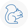 Ryton Rodent Removals