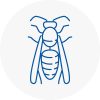 Ryton Wasp Nest Removal